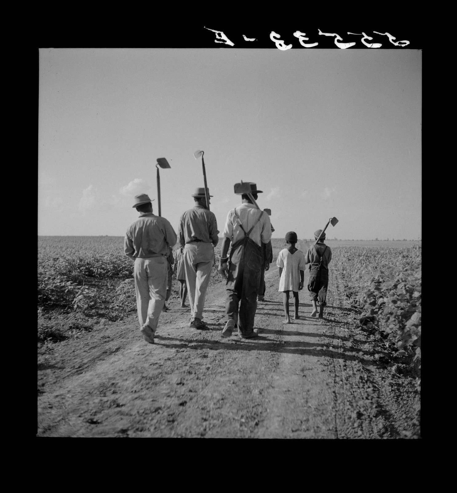 King and Anderson Plantation, Clarksdale. Mississippi Delta, Mississippi