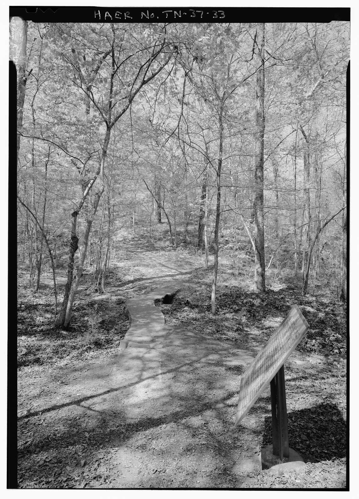 Shiloh National Military Park Tour Roads, Shiloh, Hardin County, TN