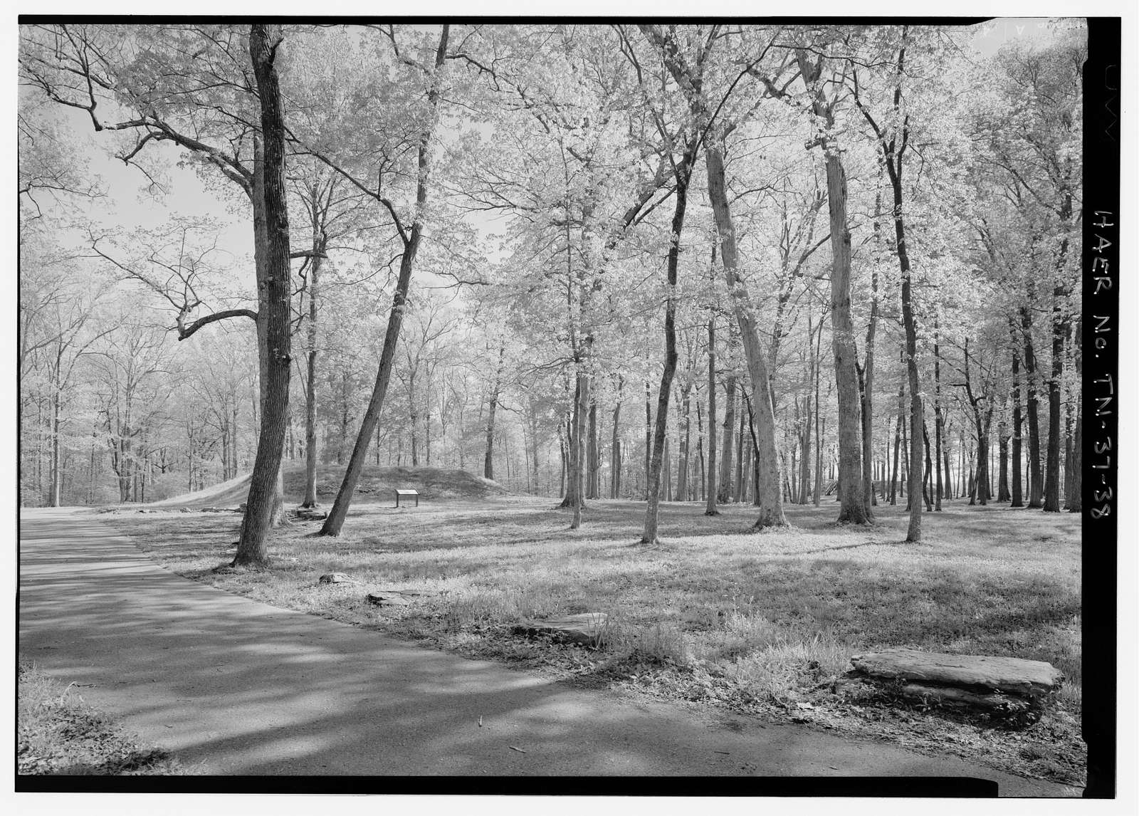 Shiloh National Military Park Tour Roads, Shiloh, Hardin County, TN