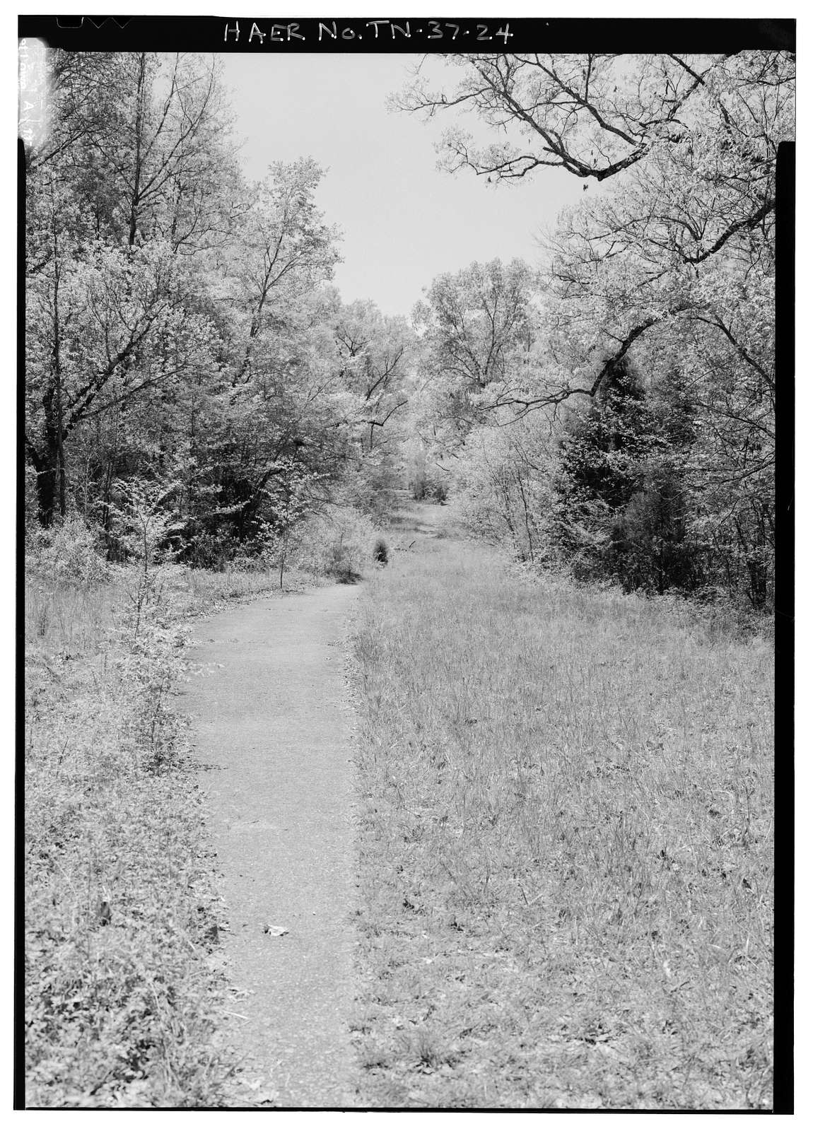 Shiloh National Military Park Tour Roads, Shiloh, Hardin County, TN