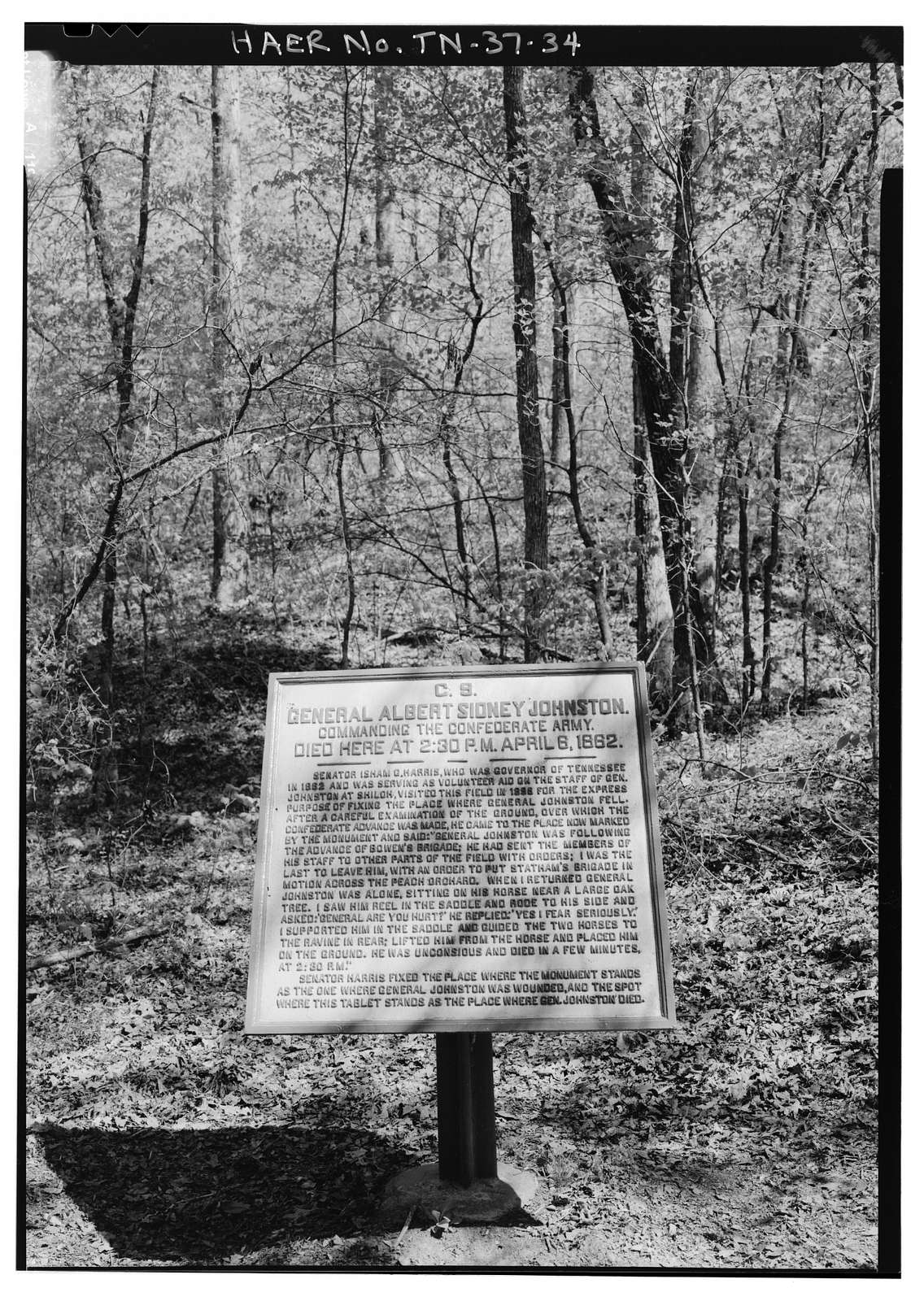 Shiloh National Military Park Tour Roads, Shiloh, Hardin County, TN